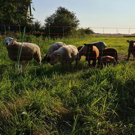 Appartement Op De Warft *