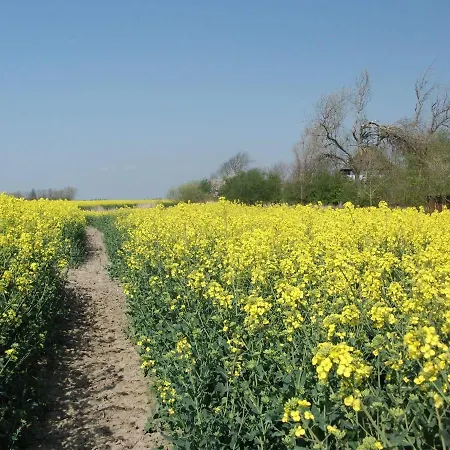 Appartement Op De Warft