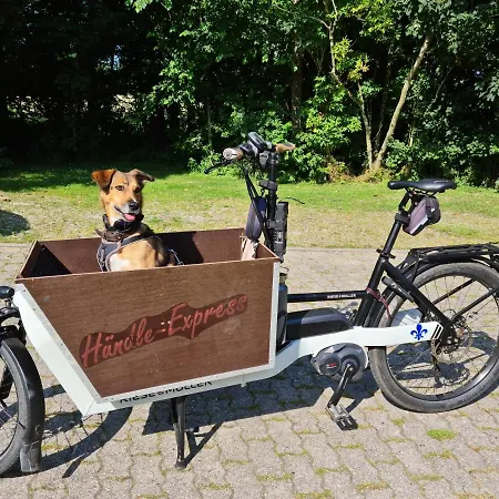 Appartement Op De Warft Neukirchen (Nordfriesland)