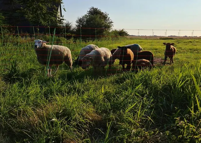 Appartement Op De Warft *