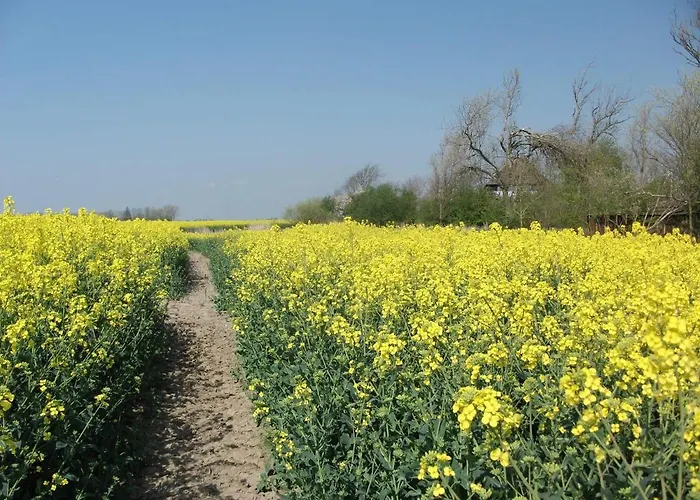 Appartement Op De Warft